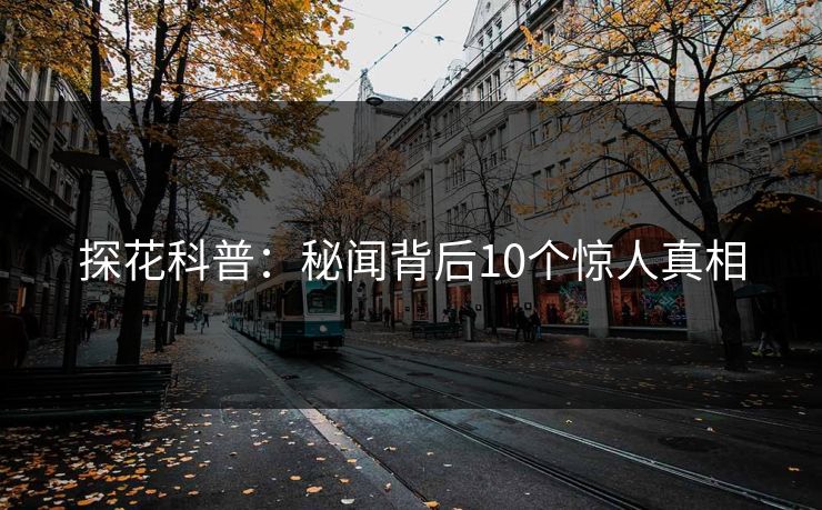 探花科普：秘闻背后10个惊人真相