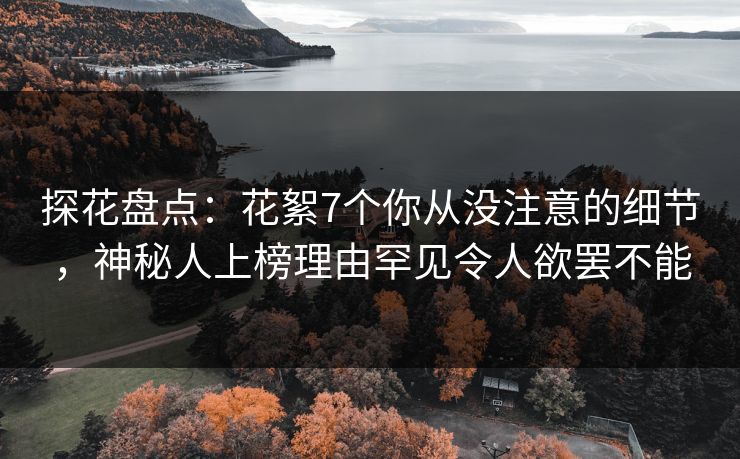 探花盘点：花絮7个你从没注意的细节，神秘人上榜理由罕见令人欲罢不能