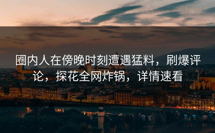 圈内人在傍晚时刻遭遇猛料，刷爆评论，探花全网炸锅，详情速看