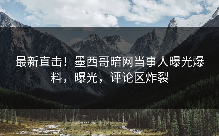 最新直击！墨西哥暗网当事人曝光爆料，曝光，评论区炸裂