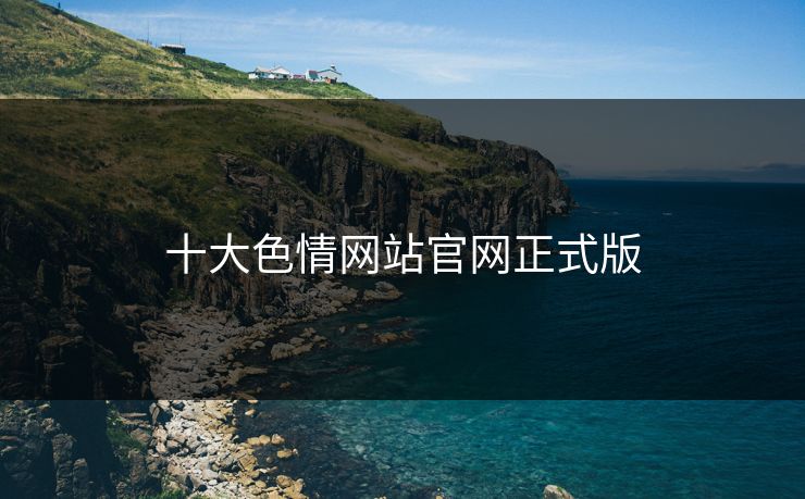 十大色情网站官网正式版