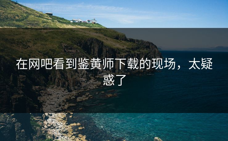 在网吧看到鉴黄师下载的现场，太疑惑了