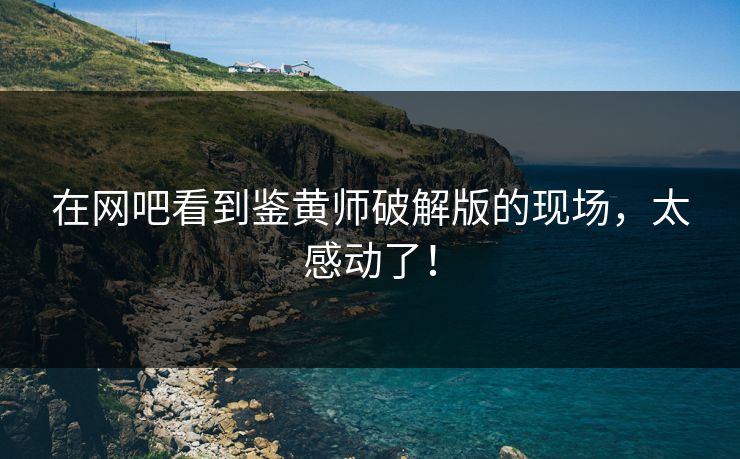 在网吧看到鉴黄师破解版的现场，太感动了！
