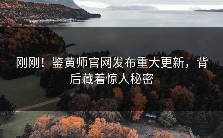 刚刚！鉴黄师官网发布重大更新，背后藏着惊人秘密