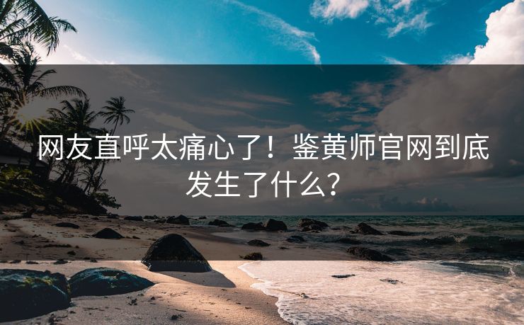 网友直呼太痛心了！鉴黄师官网到底发生了什么？