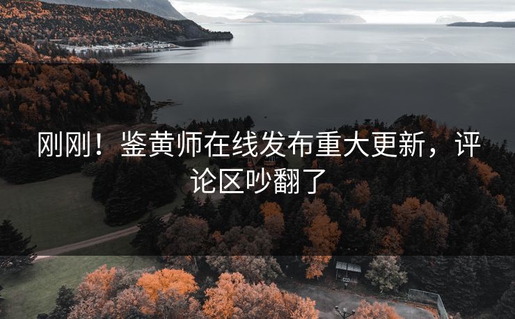 刚刚！鉴黄师在线发布重大更新，评论区吵翻了