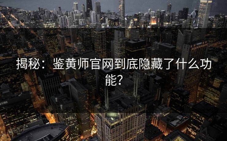 揭秘：鉴黄师官网到底隐藏了什么功能？