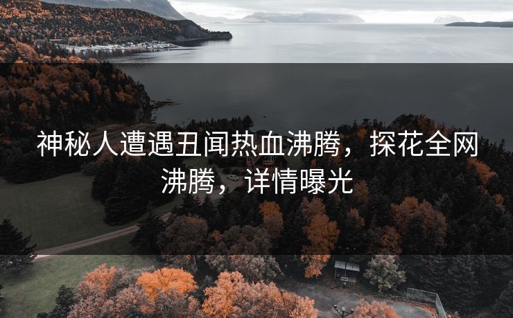 神秘人遭遇丑闻热血沸腾，探花全网沸腾，详情曝光