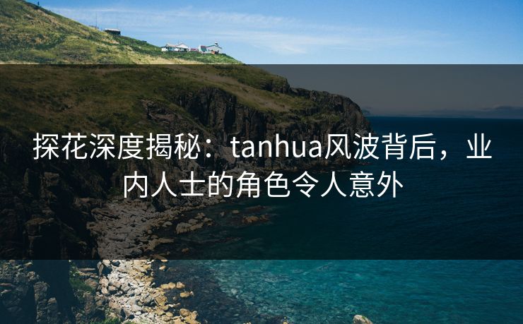 探花深度揭秘：tanhua风波背后，业内人士的角色令人意外