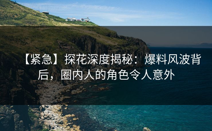 【紧急】探花深度揭秘：爆料风波背后，圈内人的角色令人意外