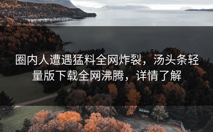 圈内人遭遇猛料全网炸裂，汤头条轻量版下载全网沸腾，详情了解
